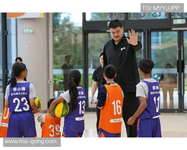 姚明在NBA的职业生涯分析与对中国篮球的深远影响探讨