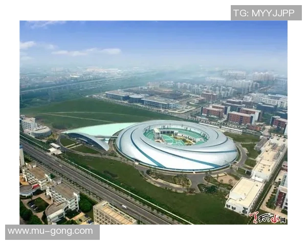 重庆排球队的拼搏之路联合会杯特别报道展现奋斗精神与团队力量